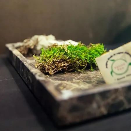 Couette-café El Pati